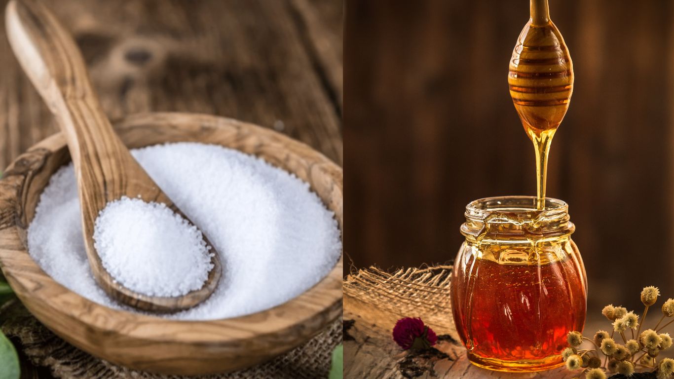 Madu vs. Gula: Mana yang Lebih Baik untuk Kolesterol Anda?